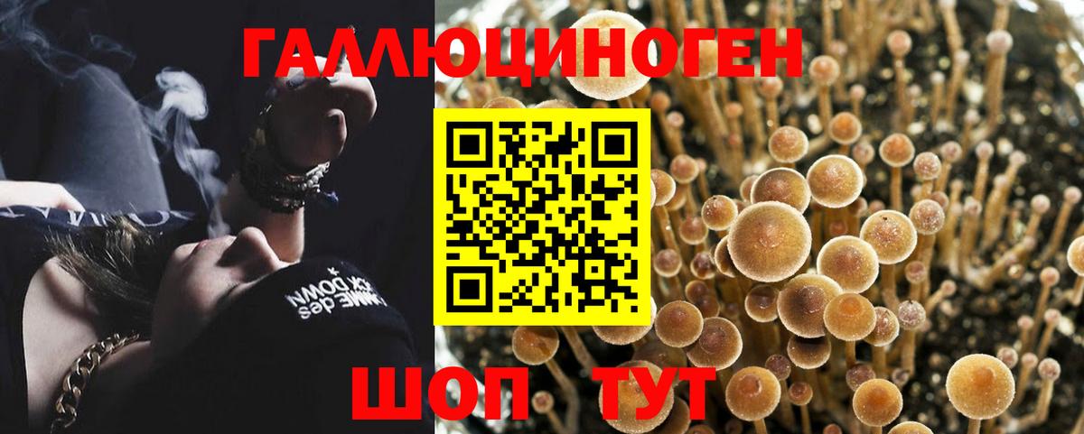 Галлюциногенные грибы GOLDEN TEACHER  Вход с VPN  Лесосибирск 